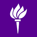 New York University Abu Dhabi